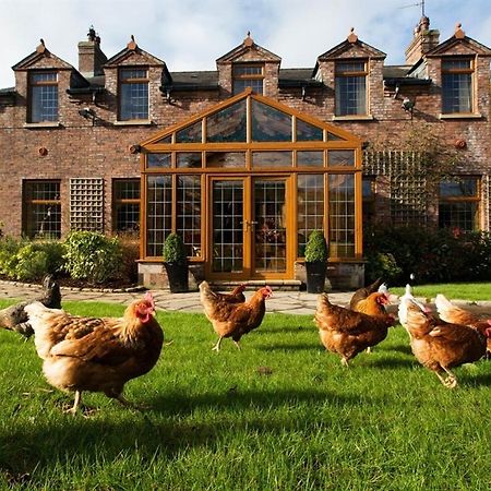 Blackwell House Banbridge Zewnętrze zdjęcie